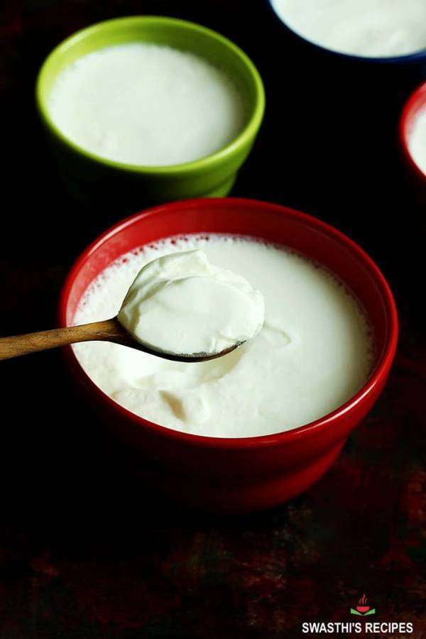 Plain Indian Yogurt
